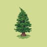 PineShaders