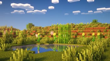 PineShaders