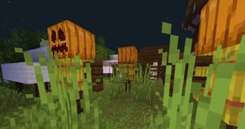 Shader 