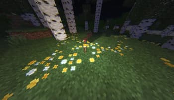 bloom