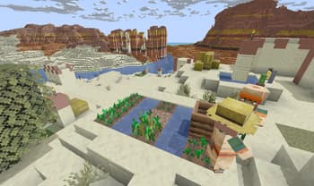 Village