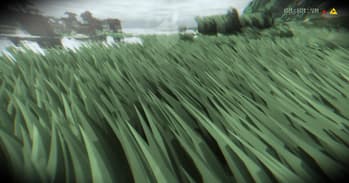 grass
