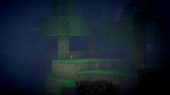 Distant Torch