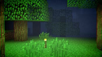 Torch