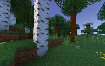 Preview 3