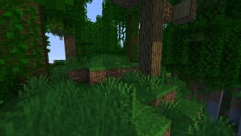 Jungle
