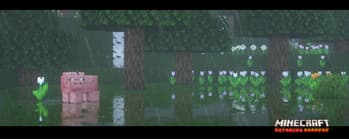Preview 6