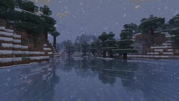 Snow