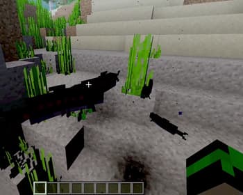 Black fishes