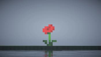 A rose in the distance