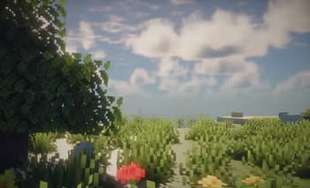 Trutle Reimagined