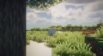 Turtle Imaged Vs TurtleShaders