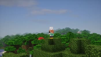this kid's aura farming on the trees with 16 render distance