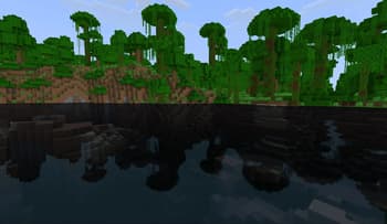 Jungle