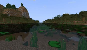 Swamp