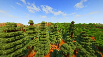 Old Growth Taiga