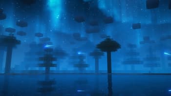 Shooting Stars