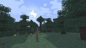 Taiga Biome