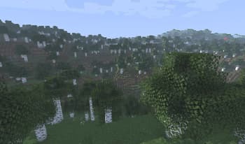Birch Forest
