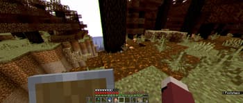 Shader in use in survival