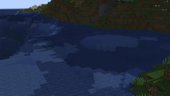 shadow in the water