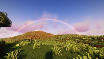 Rainbow