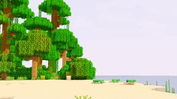 Jungle Biome with warm ocean