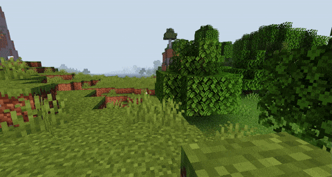 Wind by the Trees