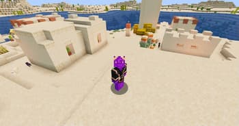 Entity in the Desert Sunlight