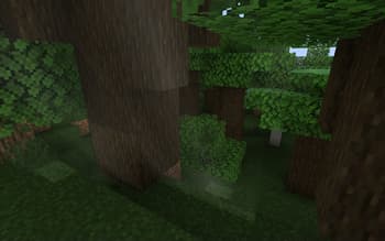 Volumetrics 1