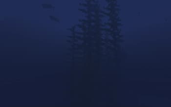 Underwater o_O