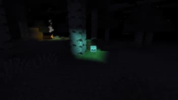 Near the campfire
