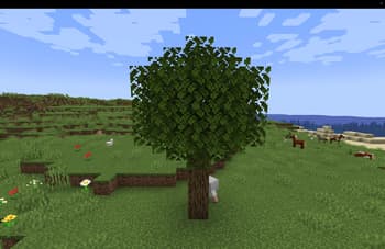 Leaves moving by wind!